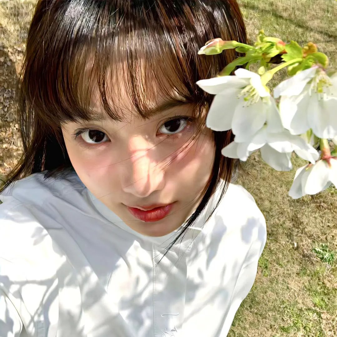 爱情食物链粤语